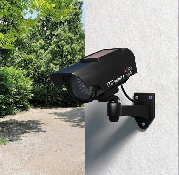 BASI Kamera-Attrappe, solar-betrieben