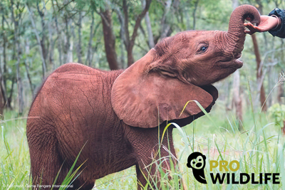 BASI engagiert sich regelmäßig für das SOS-Kinderdorf in Düsseldorf